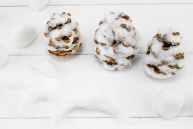 pinecones covered with cotton