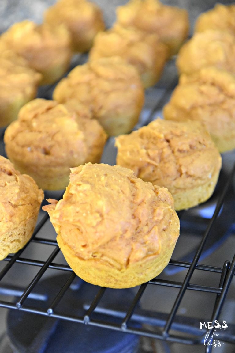 Weight Watchers Pumpkin Muffins Cake Mix and Pumpkin Mess for Less