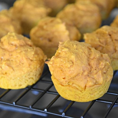 Weight Watchers Pumpkin Muffins Cake Mix and Pumpkin Mess for Less