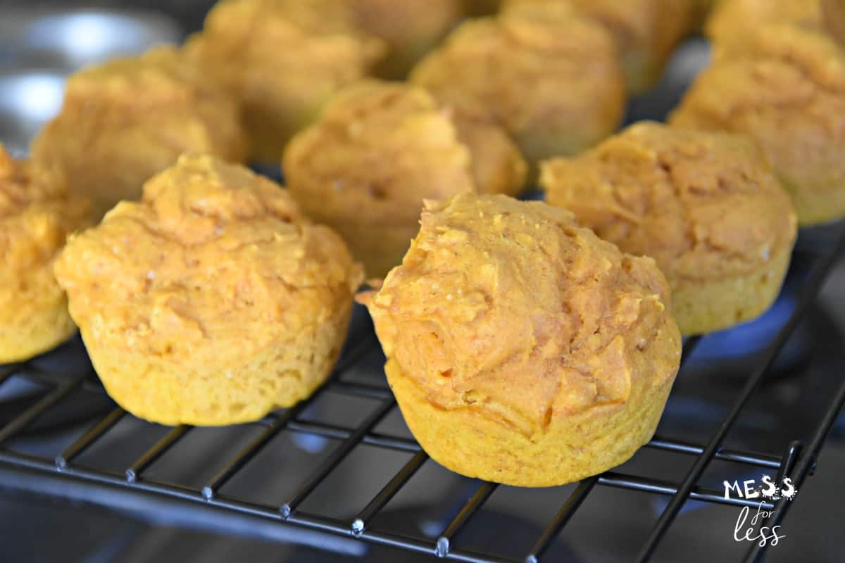 pumpkin muffins