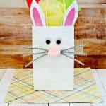 How to Make an Easter Bunny Gift Bag 9