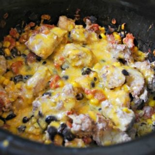 crockpot freezer meal 1