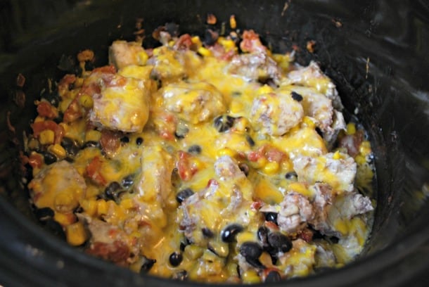 Weight Watchers Salsa Chicken Make Ahead Freezer Meal-image