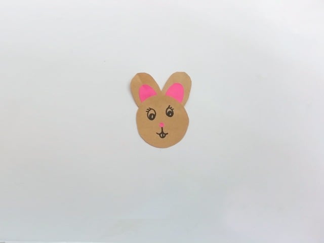 bunny face craft