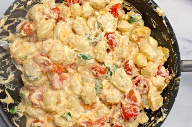Creamy Gnocchi with Tomatoes