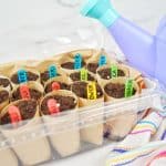 DIY Seed Starter for Kids 12