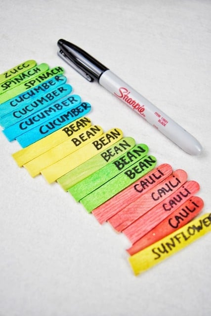 popsicle sticks with vegetable names written on them