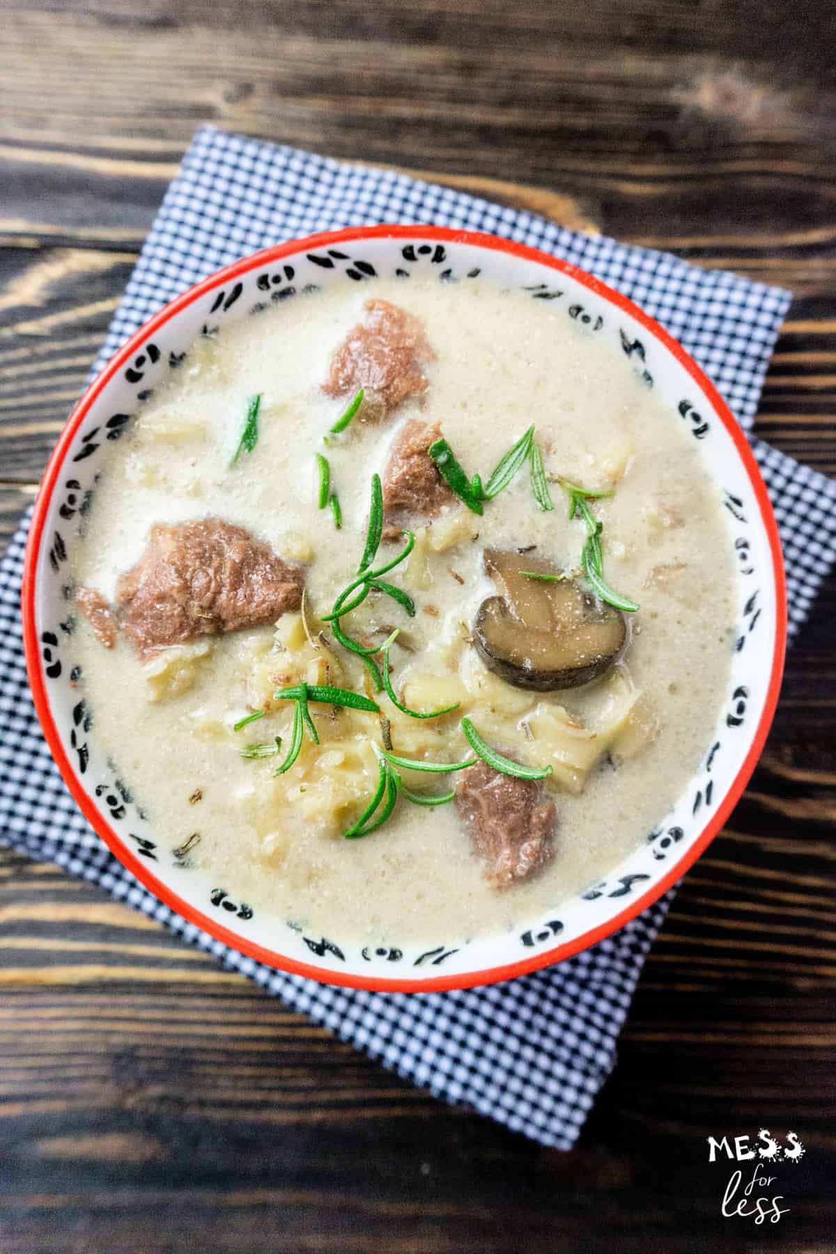 Instant Pot Beef Stroganoff Soup Mess for Less