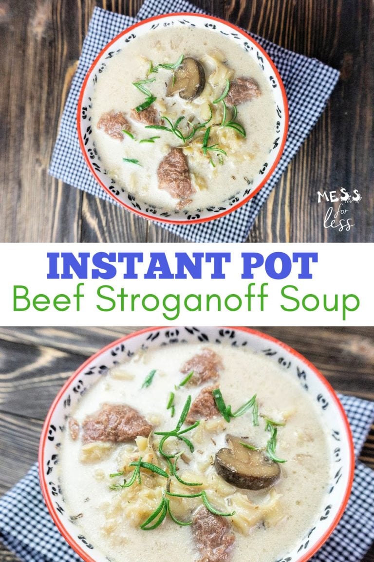 Instant Pot Beef Stroganoff Soup Mess for Less