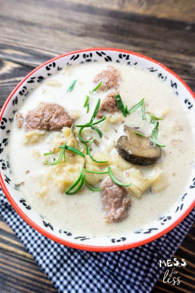 instant pot beef stroganoff soup in a bowl