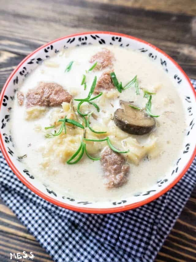 Beef Stroganoff Soup in the Instant Pot