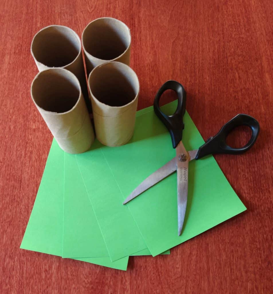 4 tp tubes green paper and scissors