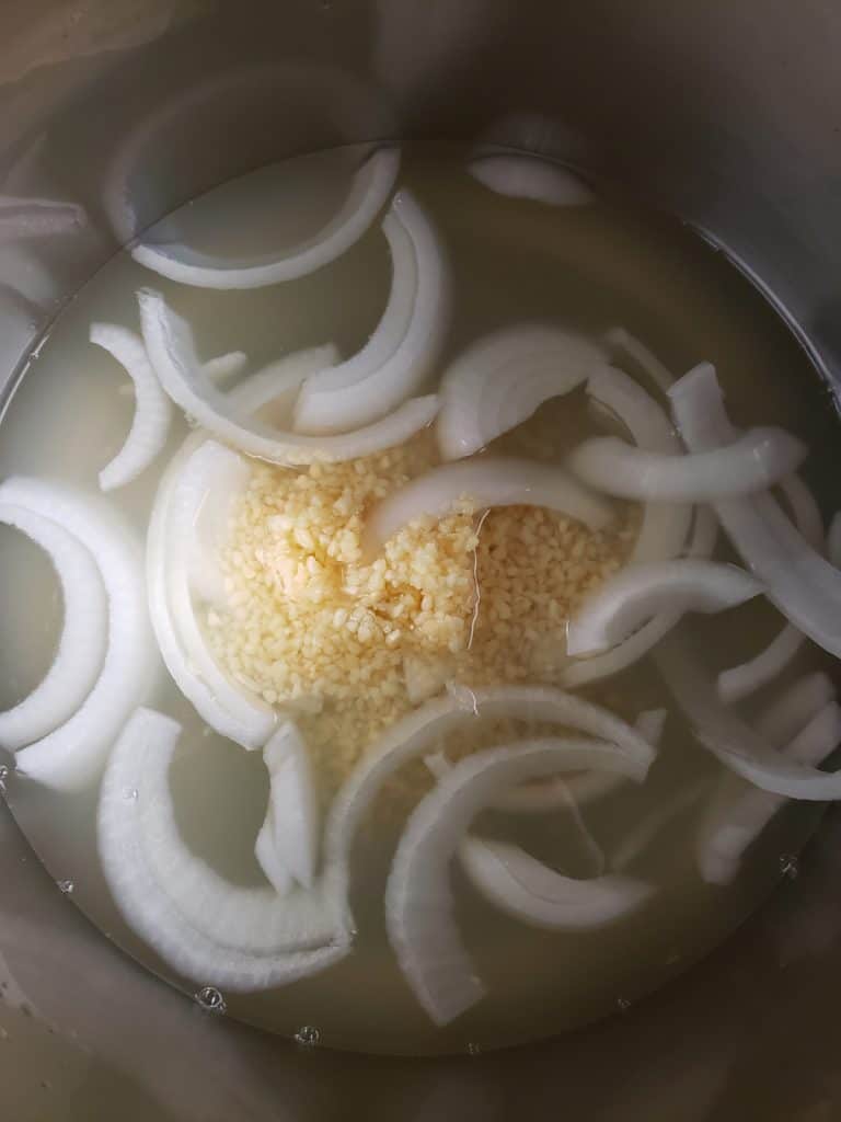 onion garlic and water in the instant pot