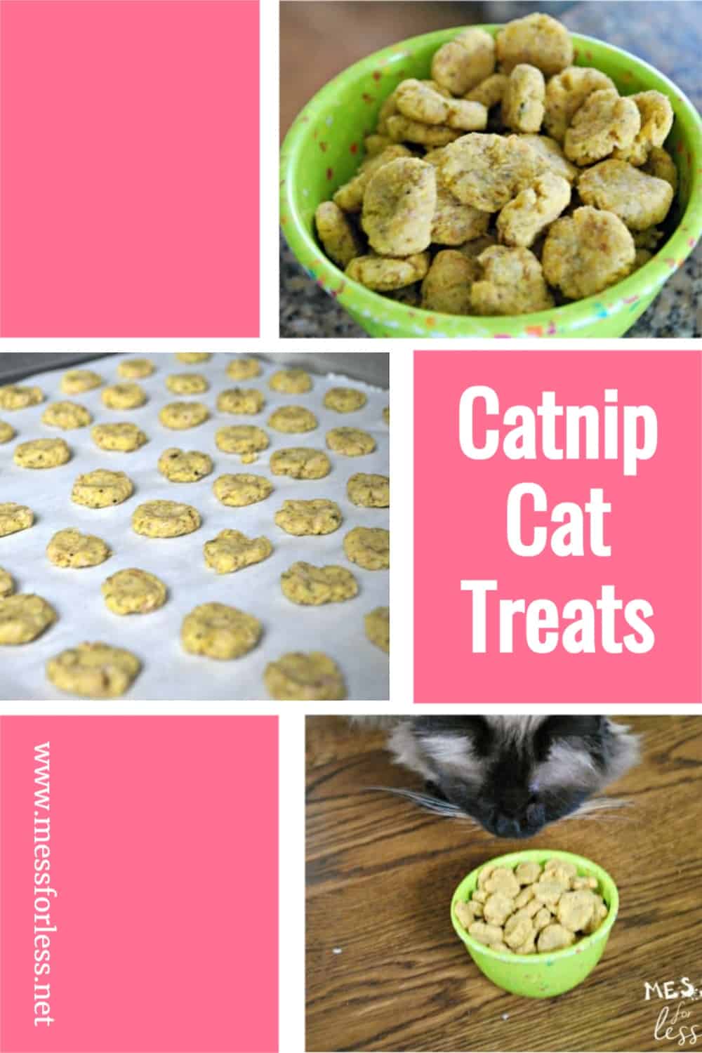 Does your cat love treats? Never buy store bought treats again with this Catnip Cat Treats Recipe.