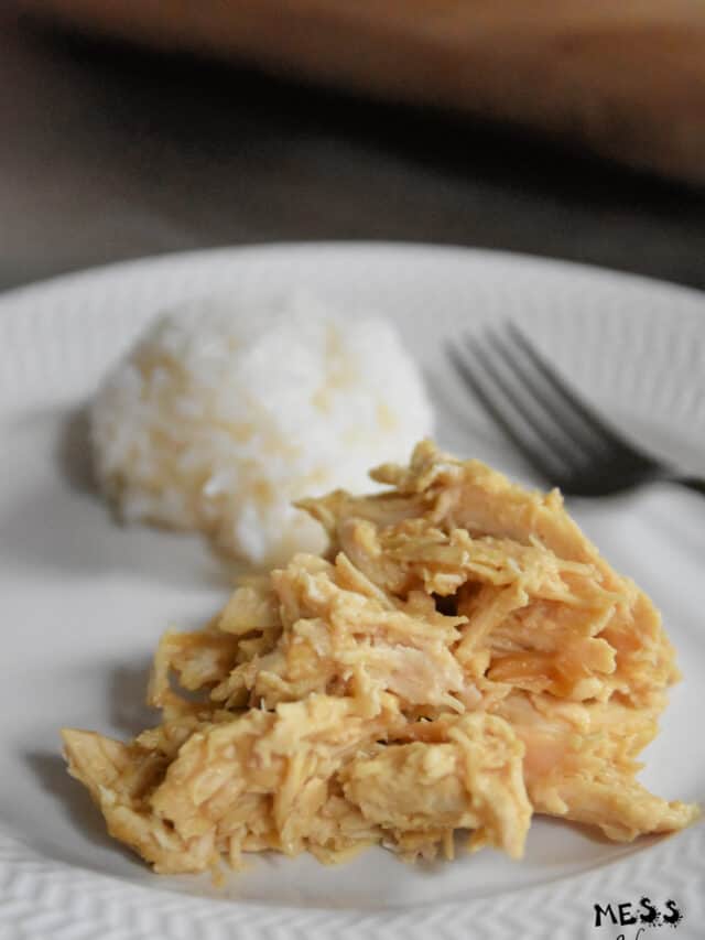 cropped-crockpot-gravy-chicken-7-1.jpg