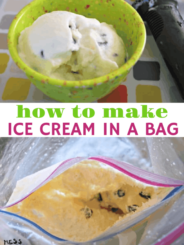 DIY Ice Cream in a Bag