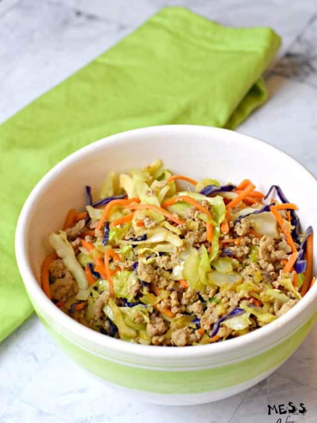 Weight Watchers Egg Roll in a Bowl