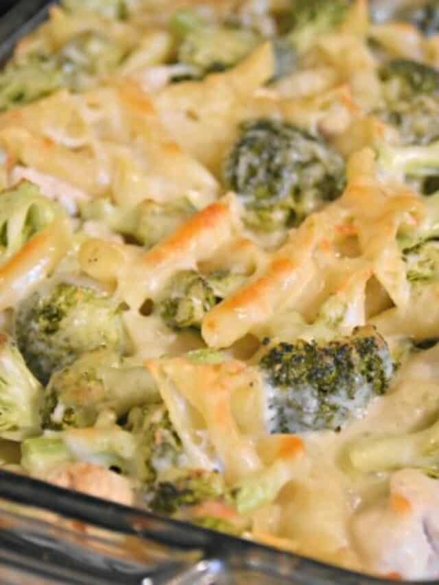 Chicken Broccoli Alfredo Casserole