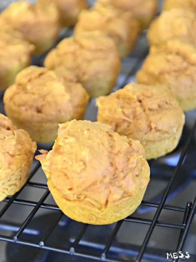 cropped-weight-watchers-pumpkin-muffins-5-683x1024-1-1.jpg