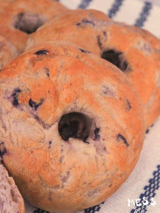 cropped-blueberry-bagels-recipe-15-blog-1.jpg