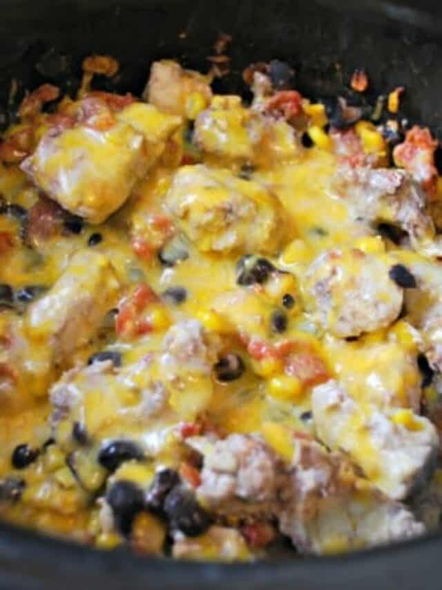 Weight Watchers Make Ahead Salsa Chicken