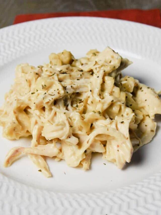 Chicken and Noodles in the Crock Pot