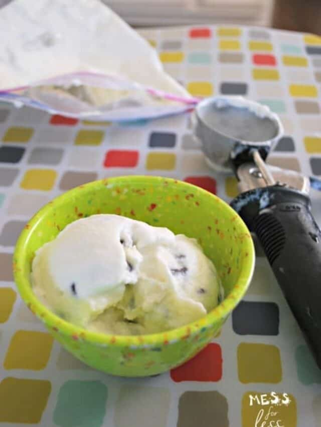 Homemade Ice Cream in a Bag