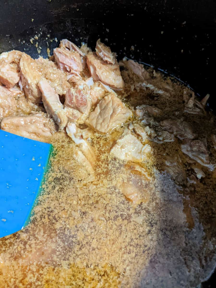 pork in instant pot with broth