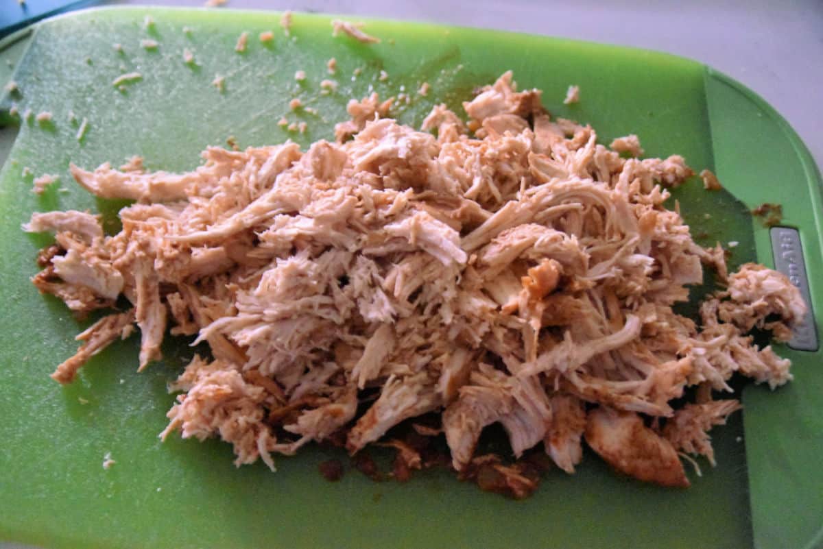 shredded chicken