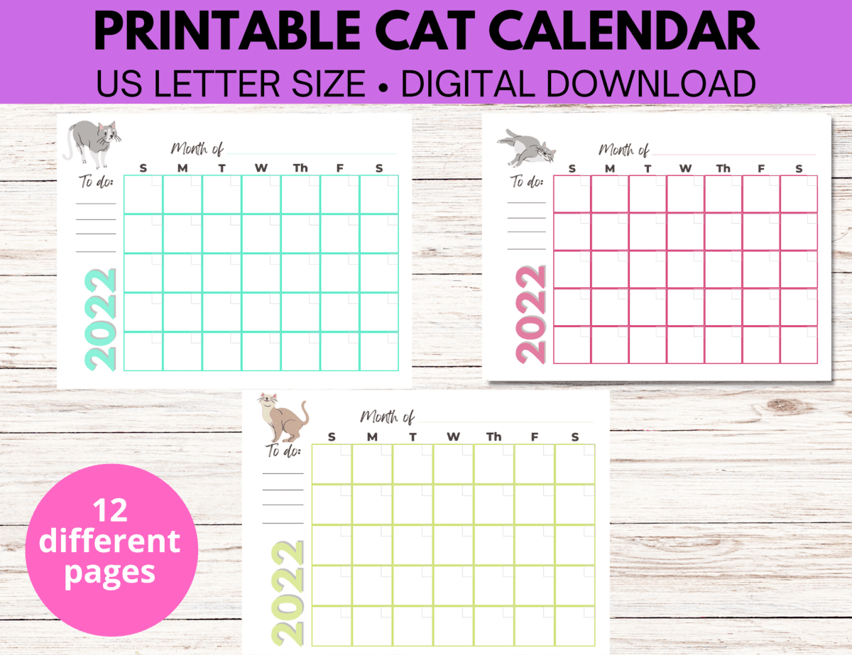 cat calendar