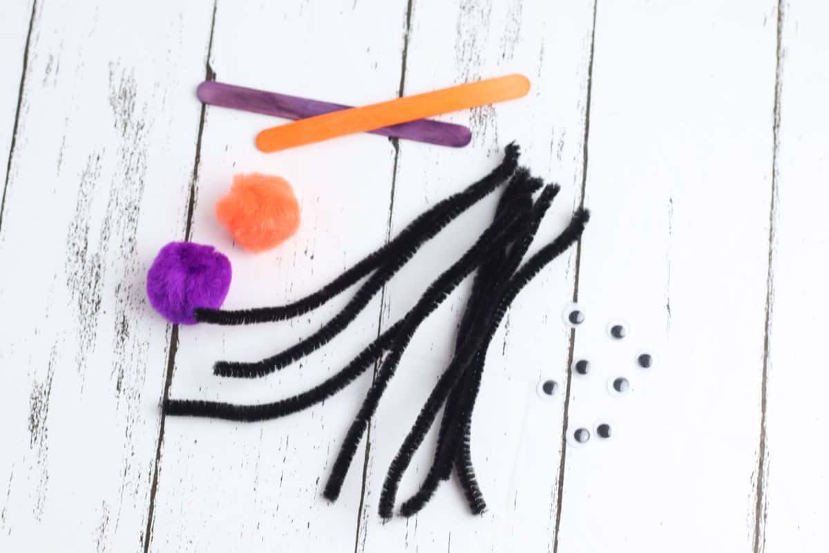 pipe cleaners, pom poms, popsicle stick, googly eyes