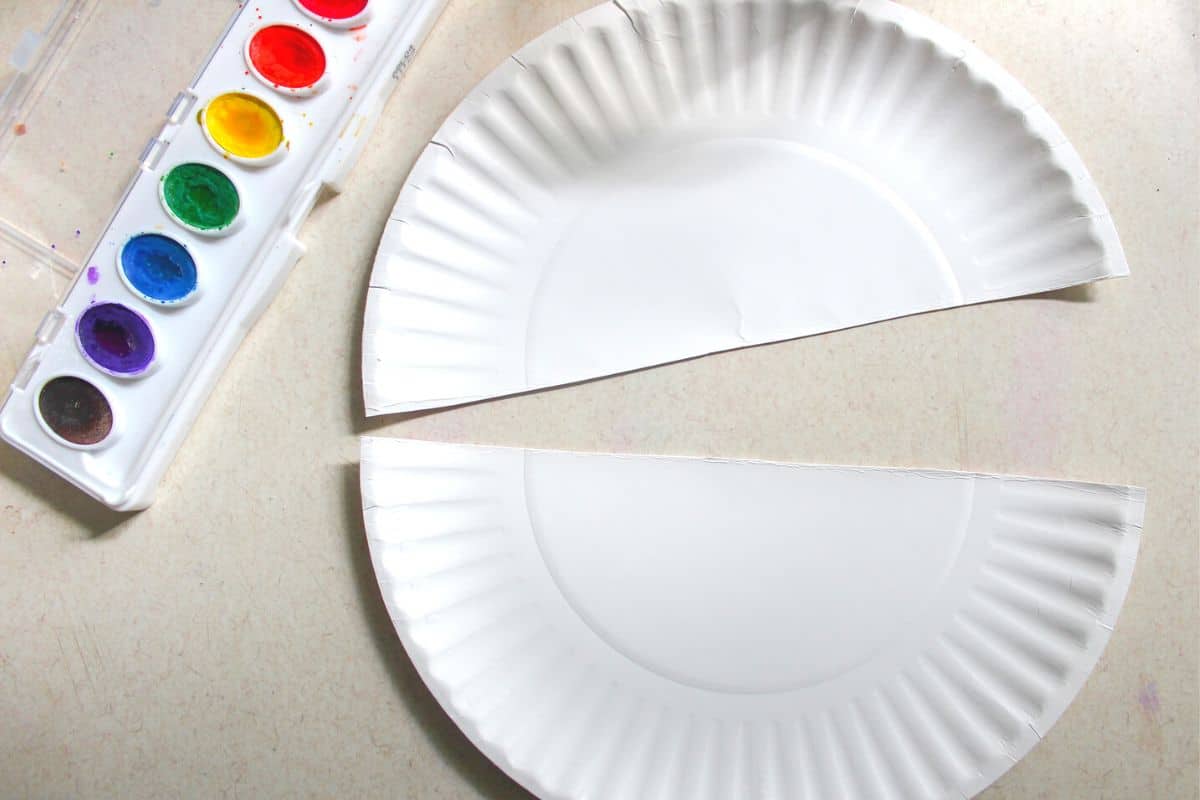 Paper Plate and water color paint