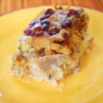 cropped-thanksgiving-leftovers-casserole-on-yellow-plate.jpg