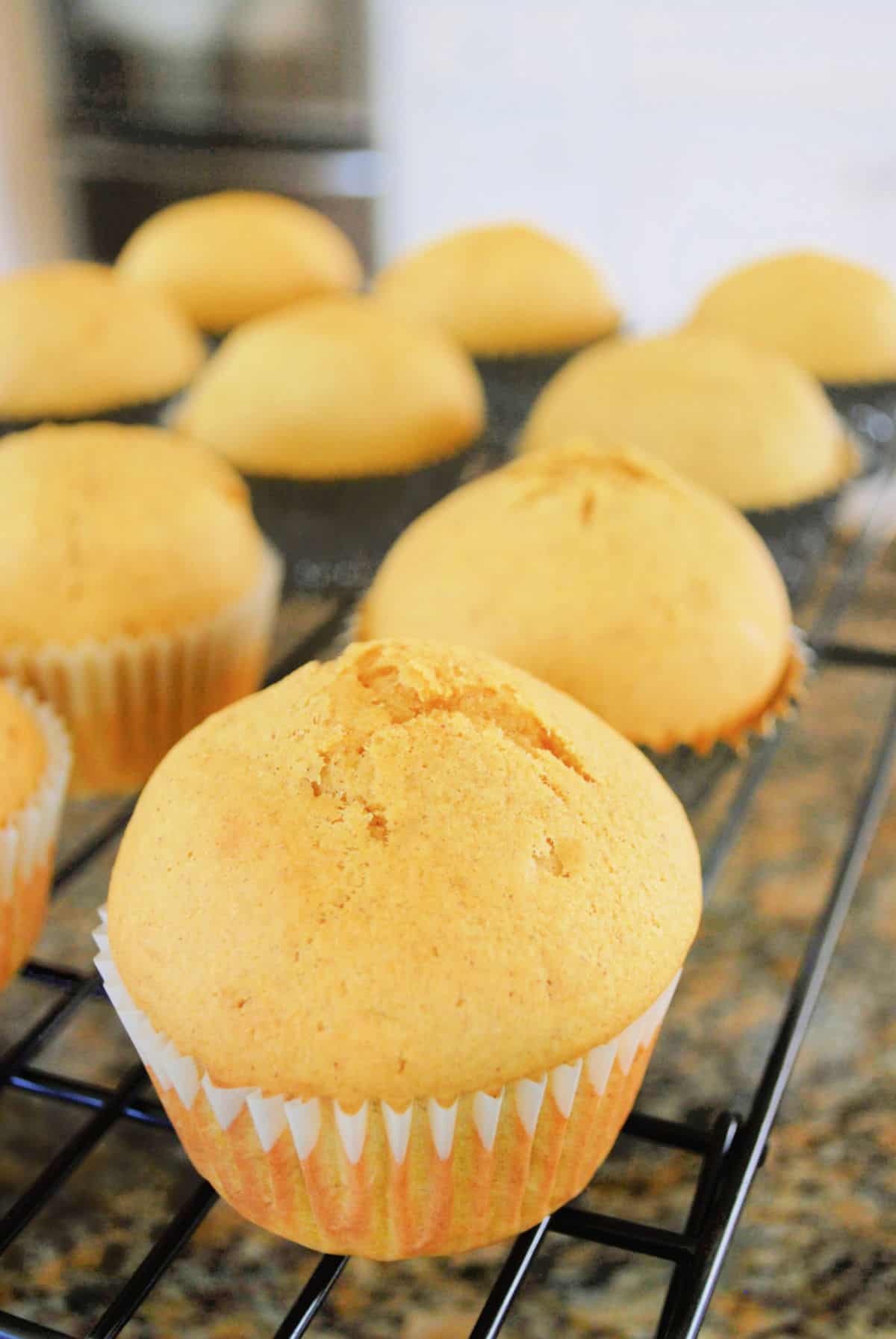 Carrot Muffin Recipe for Kids - try these on your picky eater who won't eat vegetables.