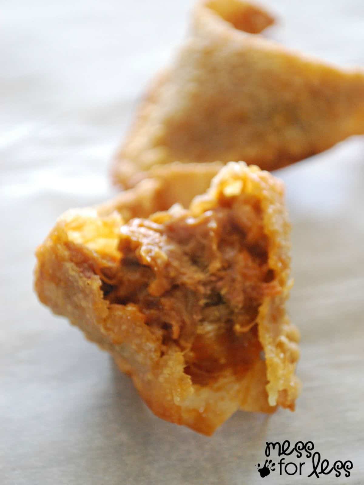 pulled pork wonton