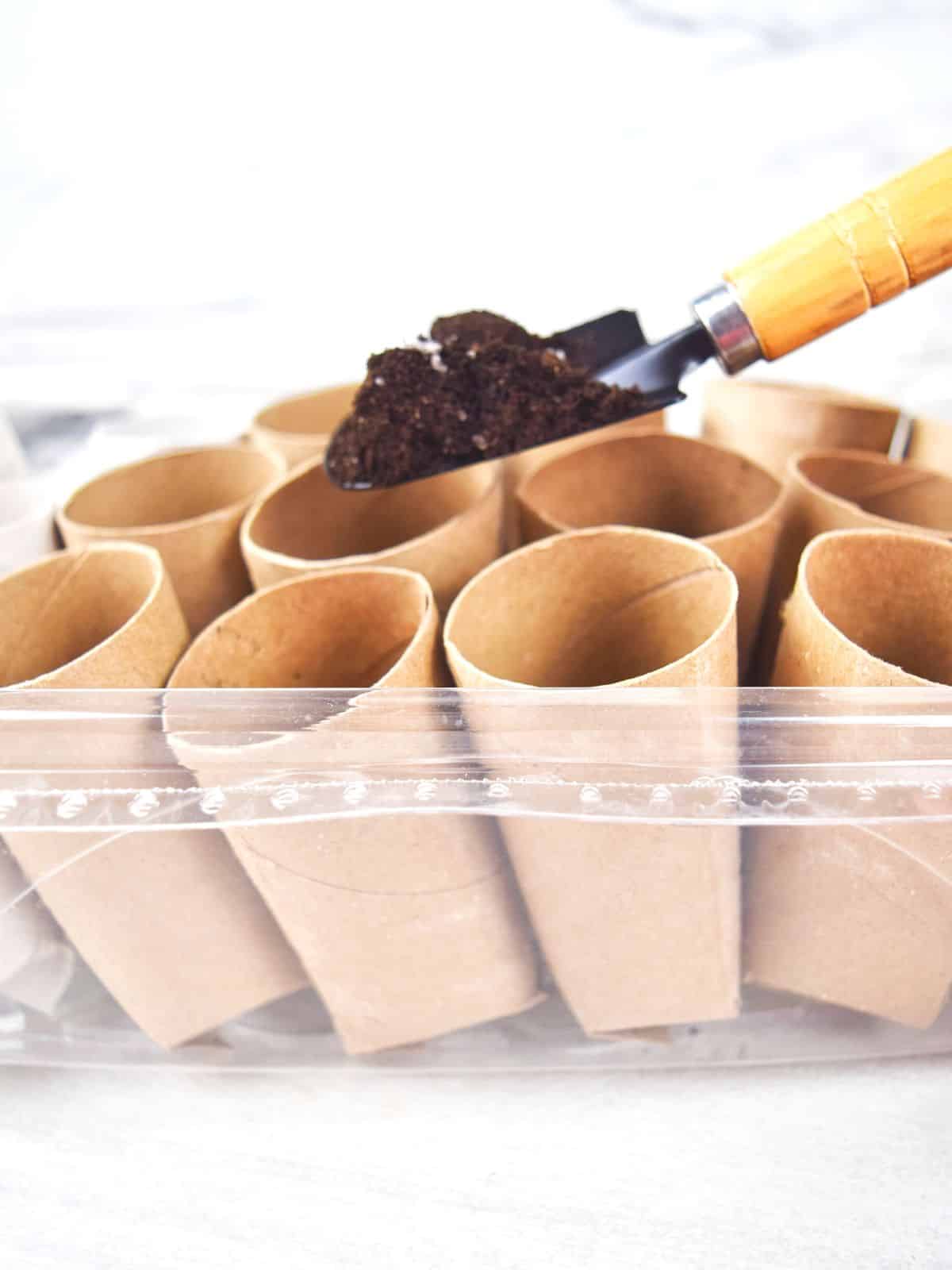filling paper tubes with soil