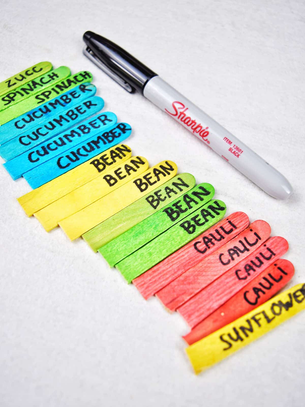 popsicle sticks with vegetable names written on them