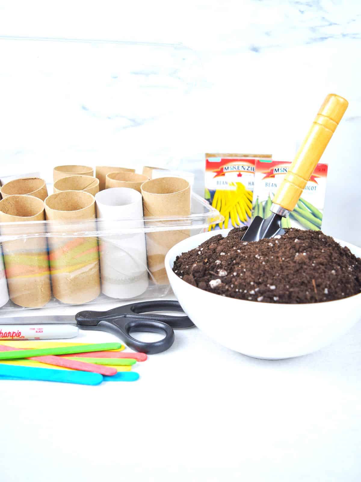 toilet paper rolls and potting soil