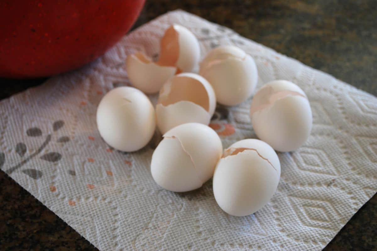 egg shells on paper towel.