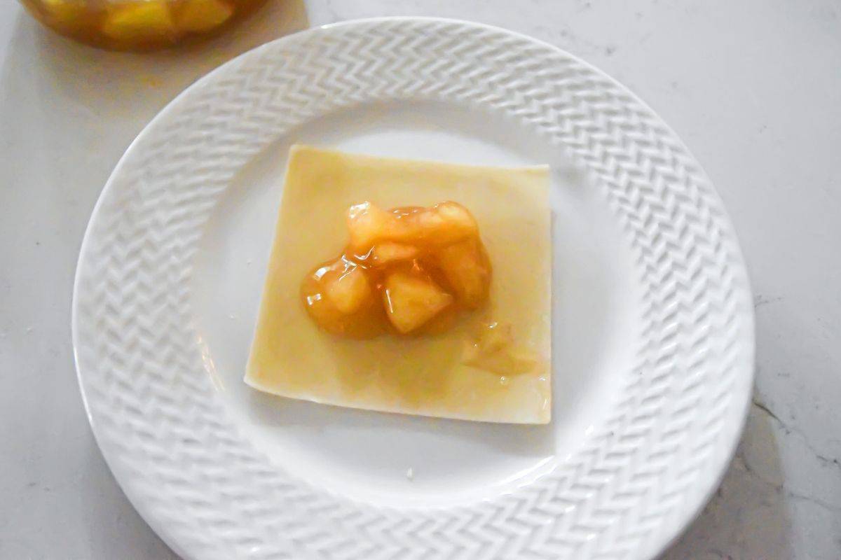 apples on wonton wrapper