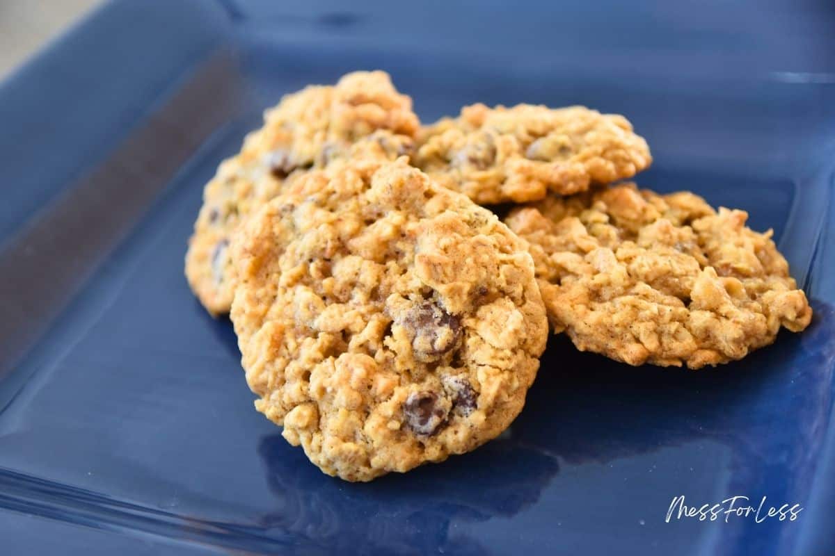 oatmeal cookies on plate