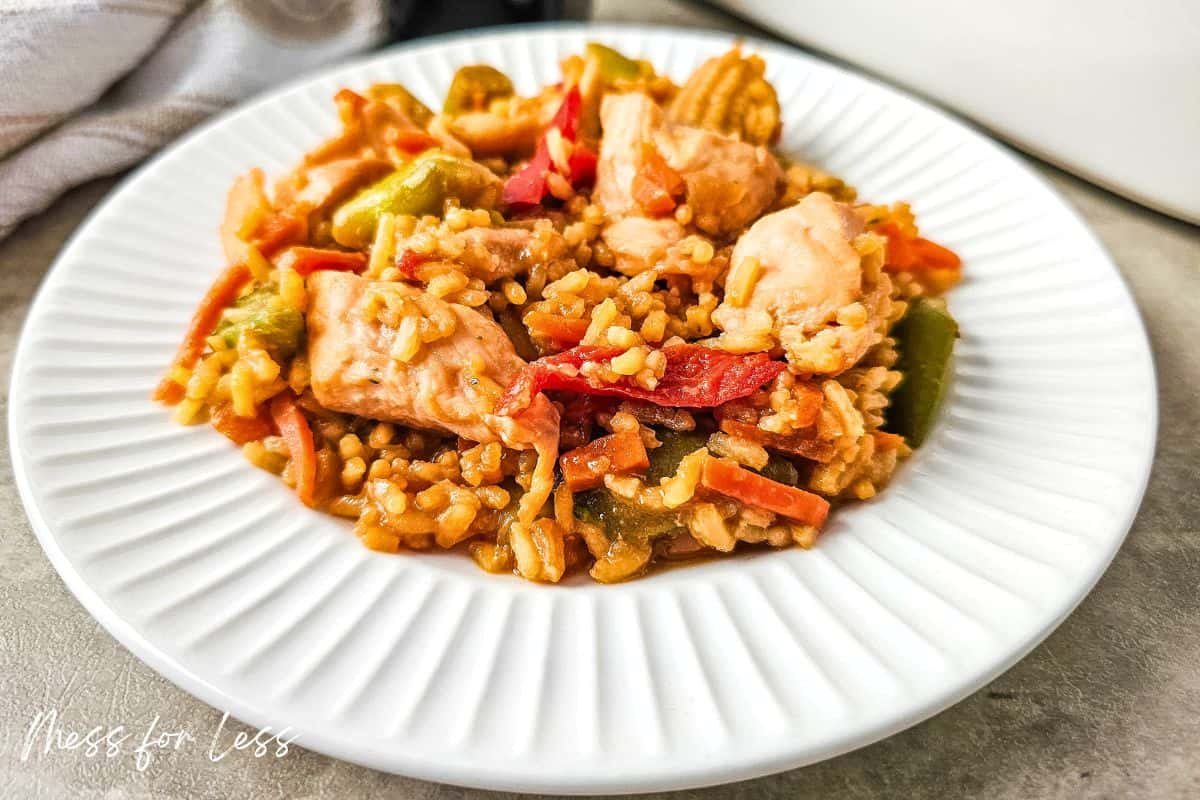 white plate with chicken teriyaki and rice