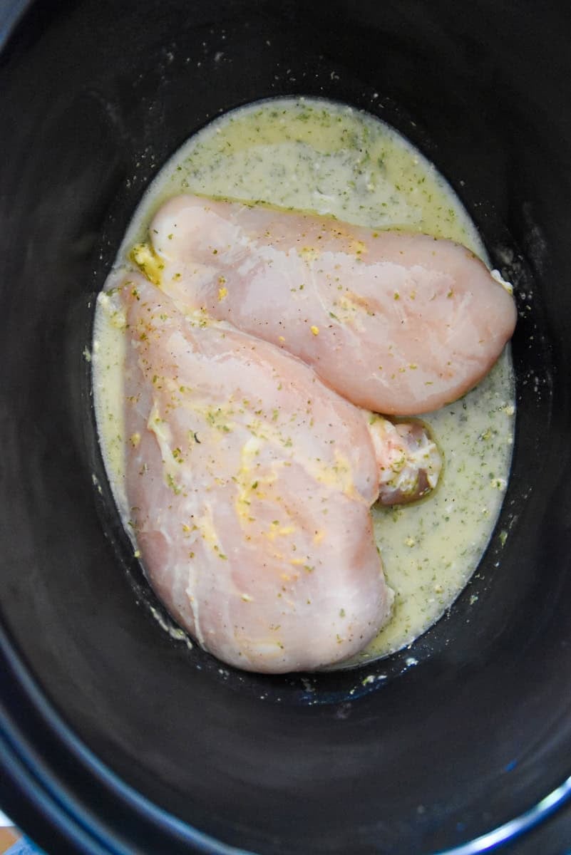 Raw chicken breasts in a creamy, seasoned broth before cooking in a slow cooker.