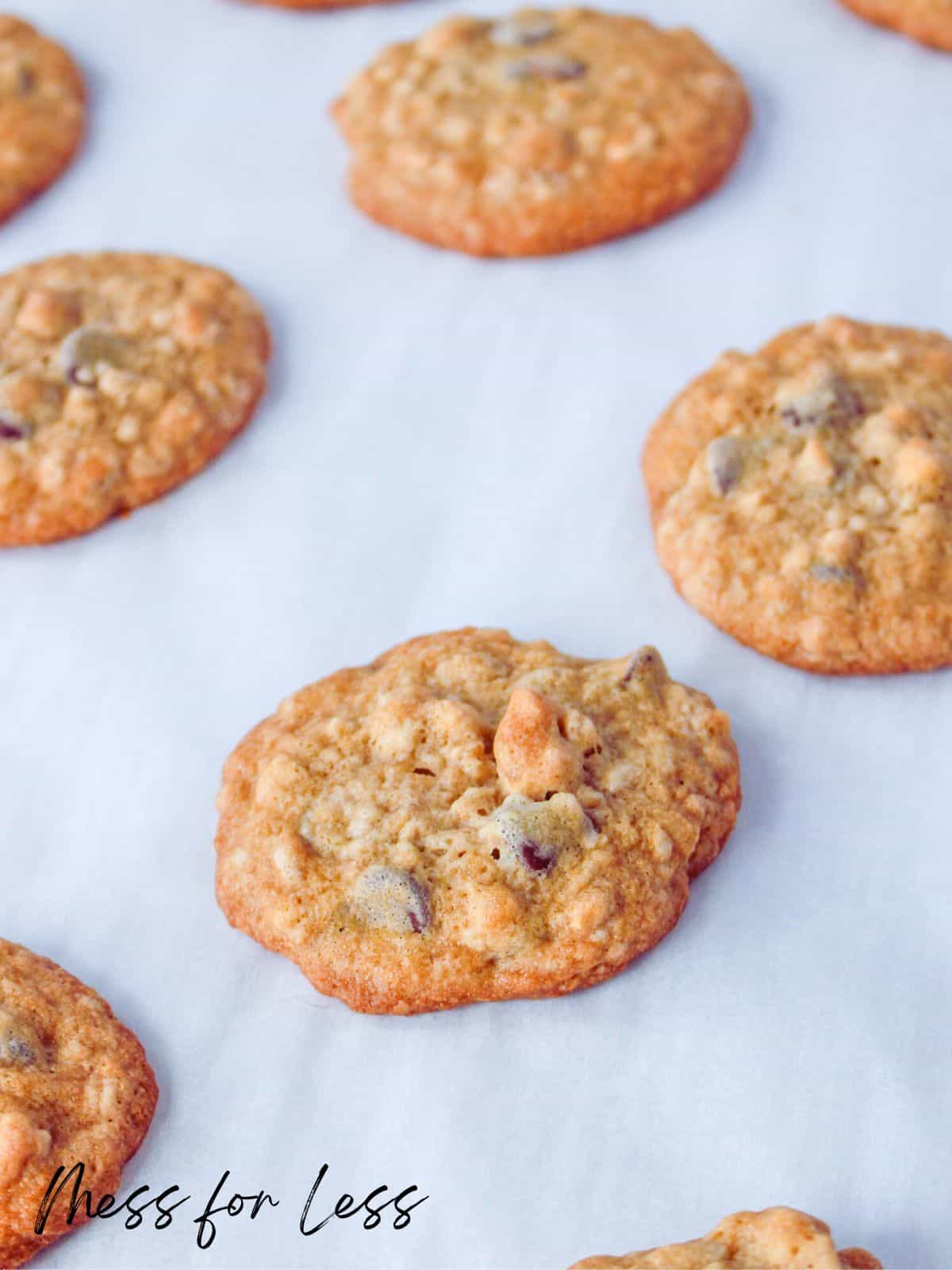 granola chocolate chip cookies
