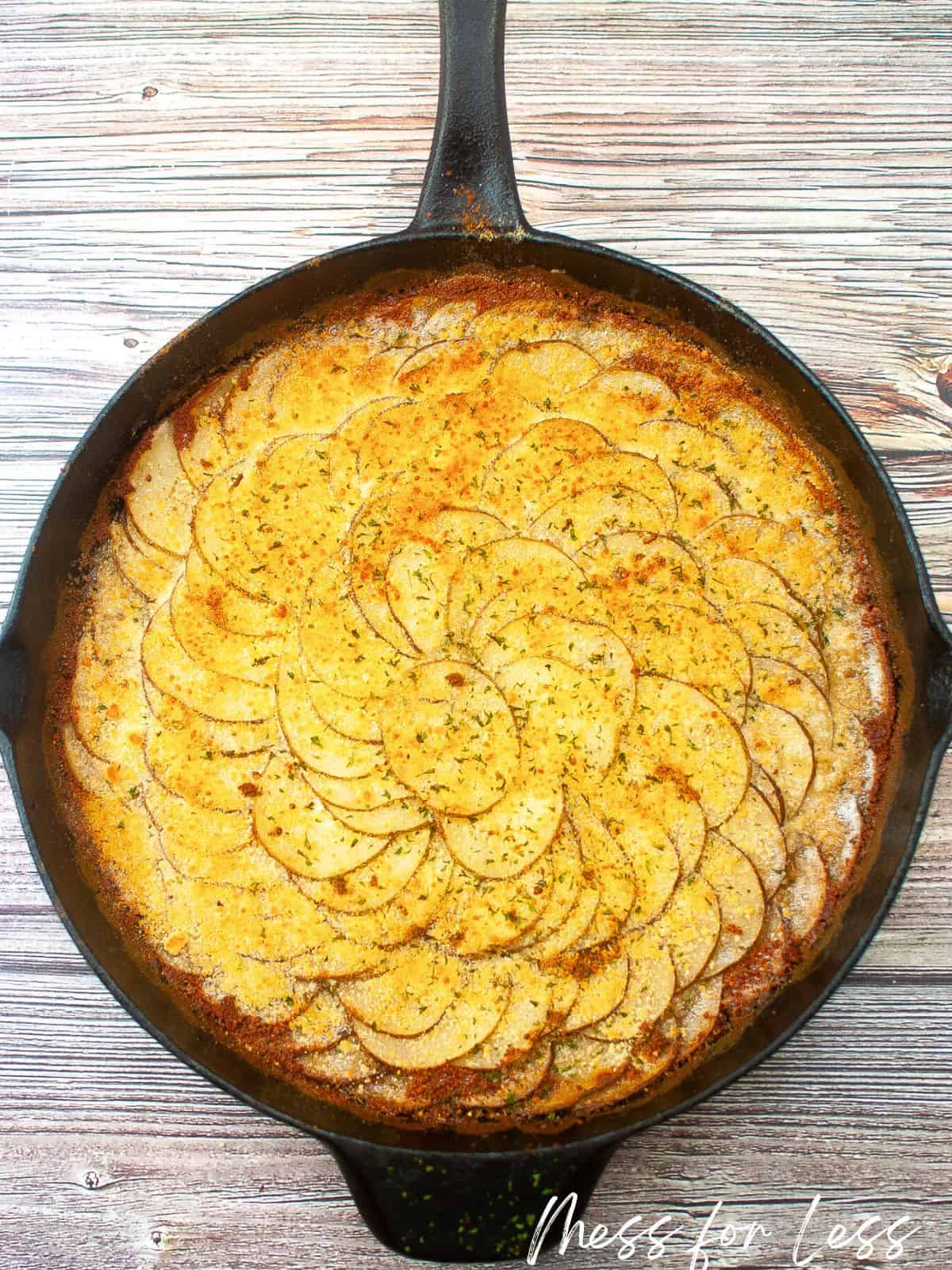 cheesy au gratin potatoes
