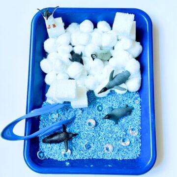 penguin sensory bin