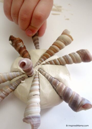 Seashell Crafts for Kids - Mess for Less