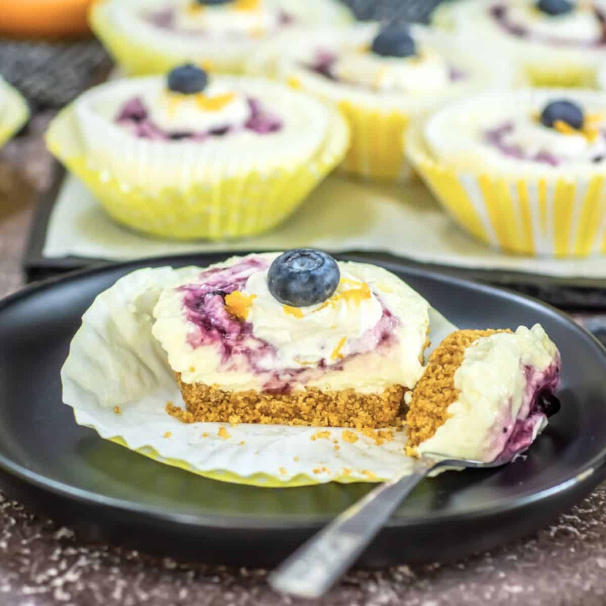 Lemon Blueberry Mini Cheesecake, image size:1200x1200