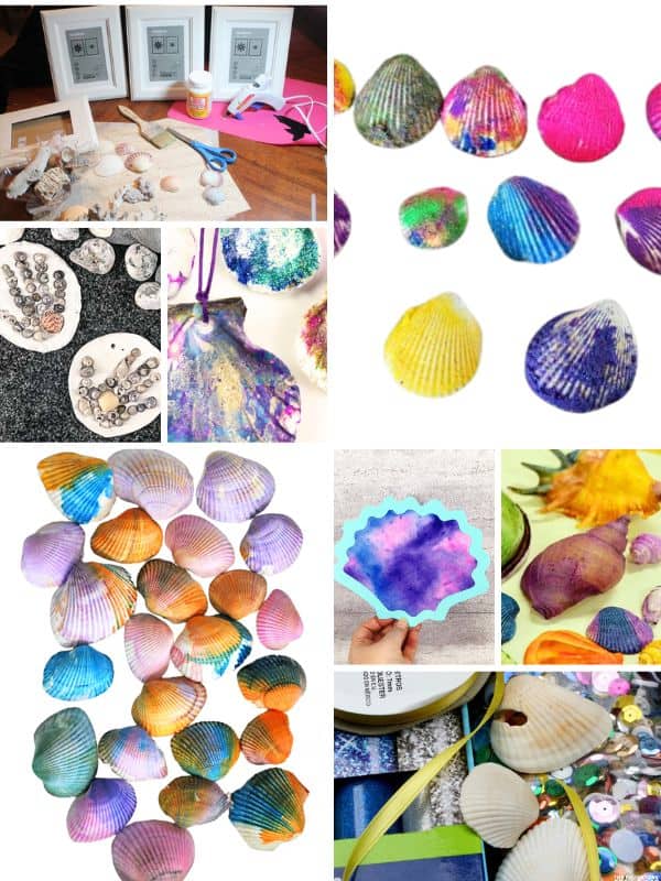 Seashell Crafts for Kids collage