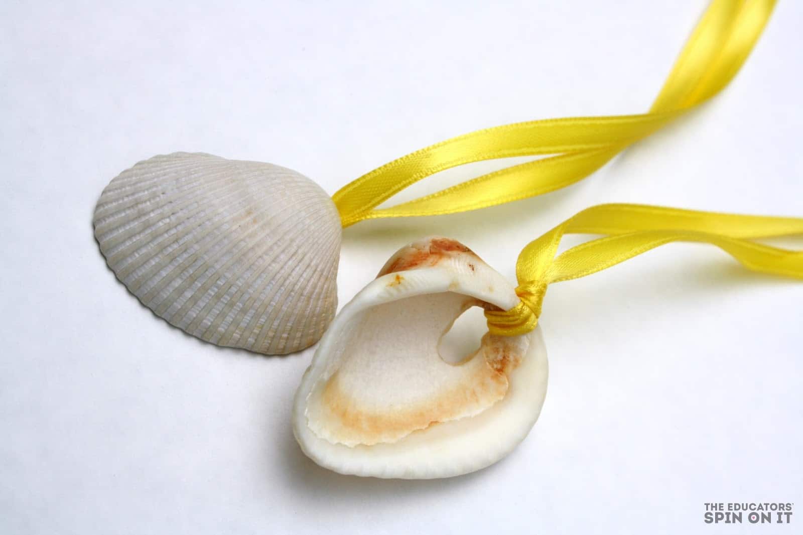 shell necklace